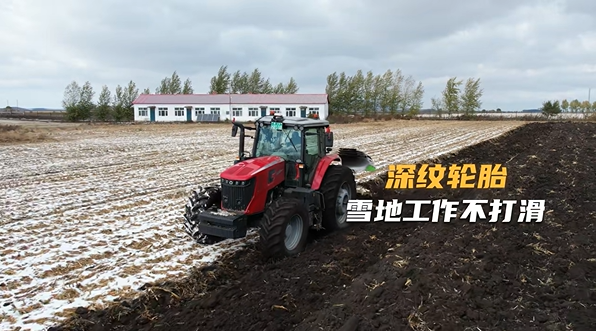 524cfc88f01247cfb9bb8040de79bca9