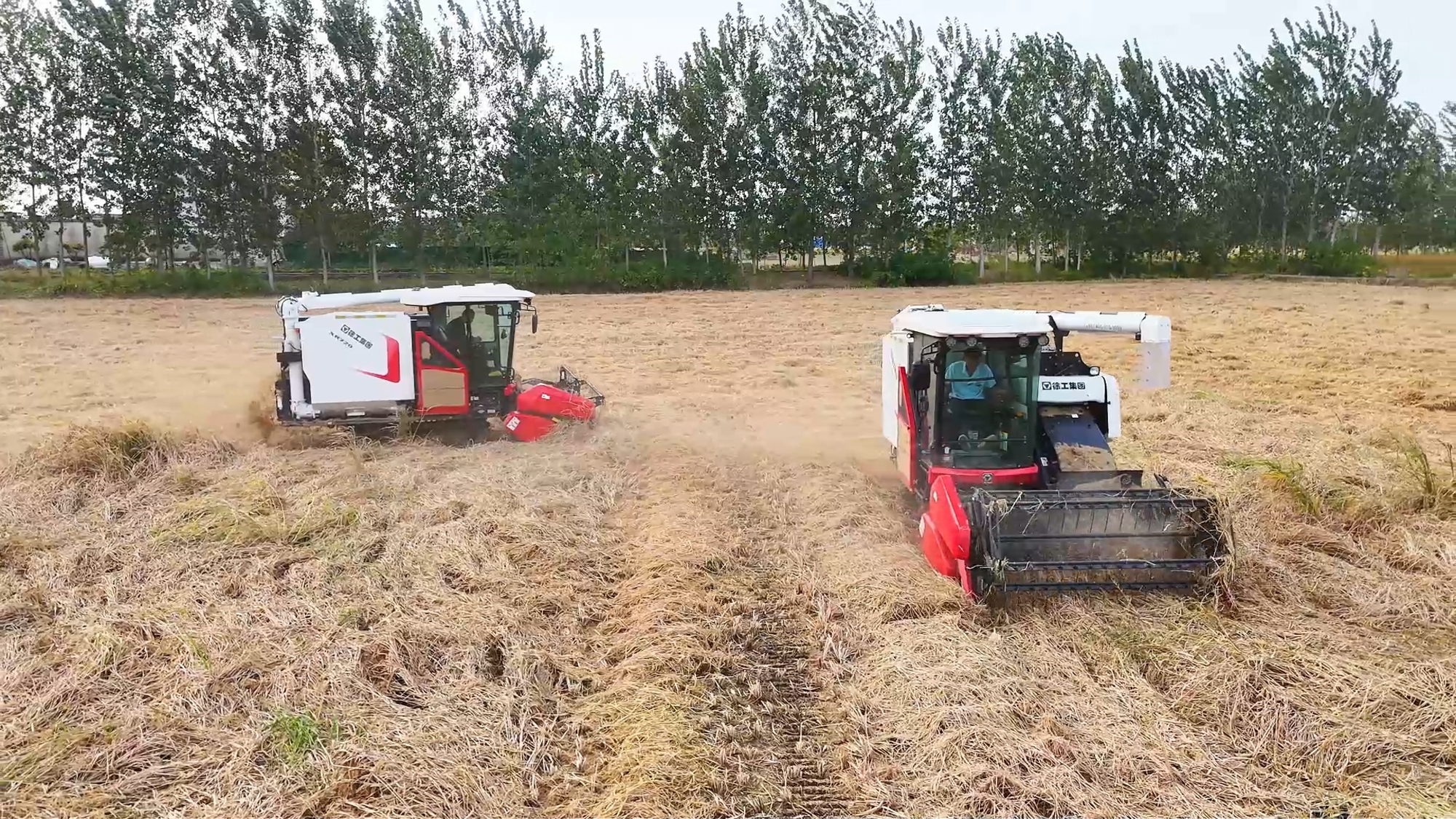 尊凯实业·(中国区)集团公司官网