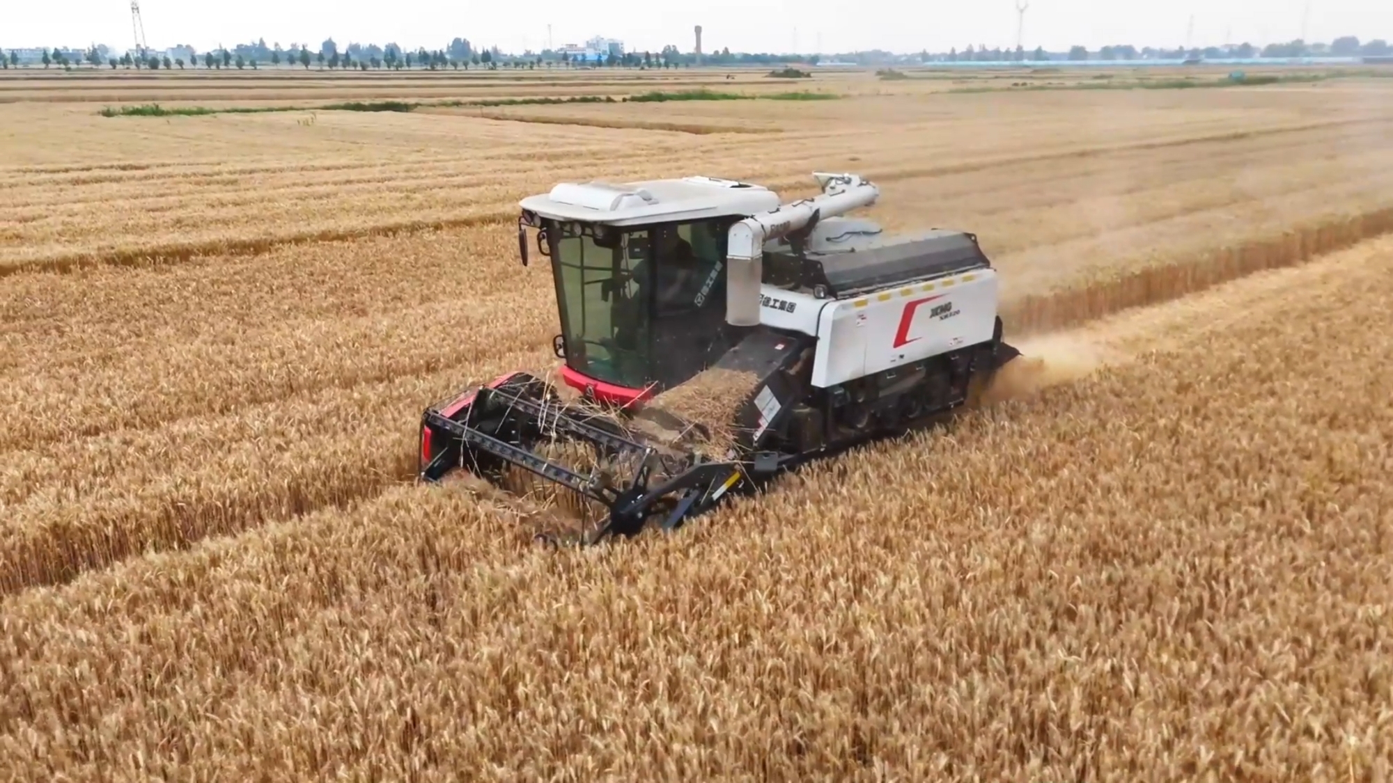 尊凯实业·(中国区)集团公司官网