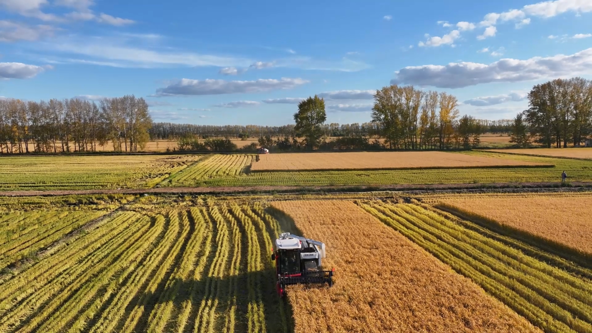 尊凯实业·(中国区)集团公司官网